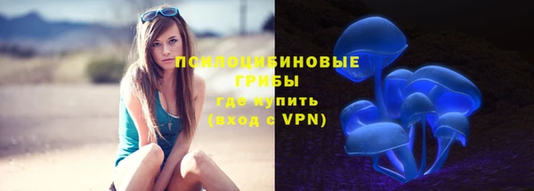 Альфа ПВП Козельск