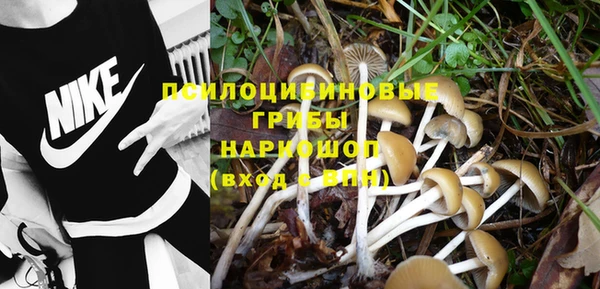 Альфа ПВП Козельск