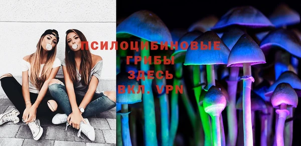 Альфа ПВП Козельск